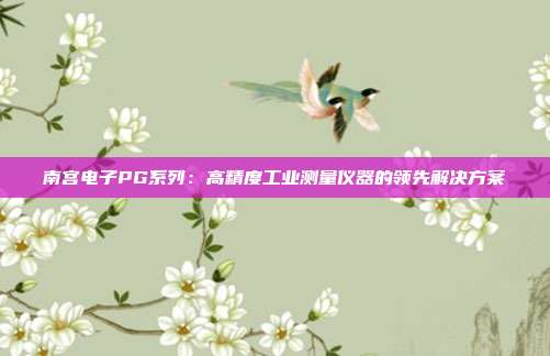 南宫电子PG系列:高精度工业测量仪器的领先解决方案
