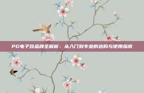 PG电子鼓品牌全解析:从入门到专业的选购与使用指南