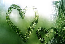 送58彩金PG电子游戏：新手入门与高级玩家策略全解析