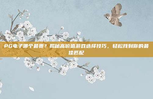 PG电子哪个最贵？揭秘高价值游戏选择技巧，轻松找到你的最佳匹配