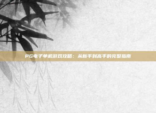 PG电子单机游戏攻略：从新手到高手的完整指南