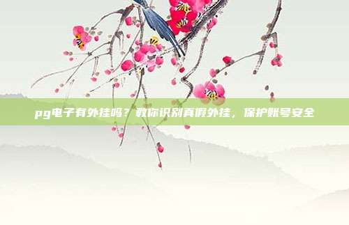 pg电子有外挂吗？教你识别真假外挂，保护账号安全