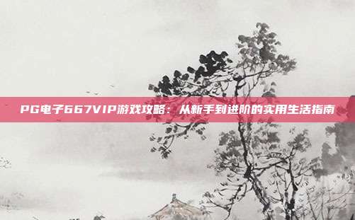 PG电子667VIP游戏攻略：从新手到进阶的实用生活指南