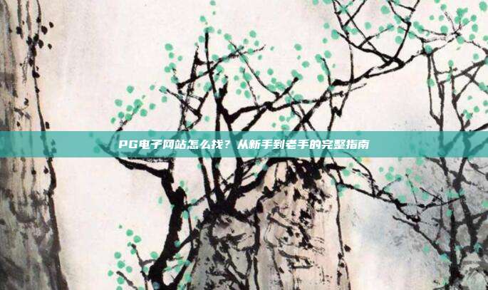 PG电子网站怎么找?从新手到老手的完整指南