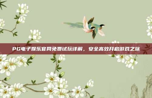 PG电子娱乐官网免费试玩详解，安全高效开启游戏之旅
