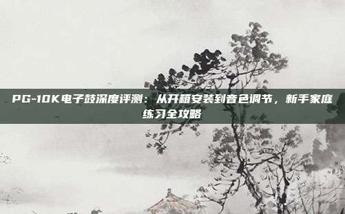 PG-10K电子鼓深度评测：从开箱安装到音色调节，新手家庭练习全攻略