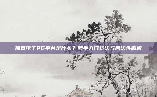 体育电子PG平台是什么？新手入门玩法与合法性解析