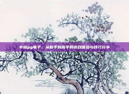 半岛pg电子:从新手到高手的游戏体验与技巧分享